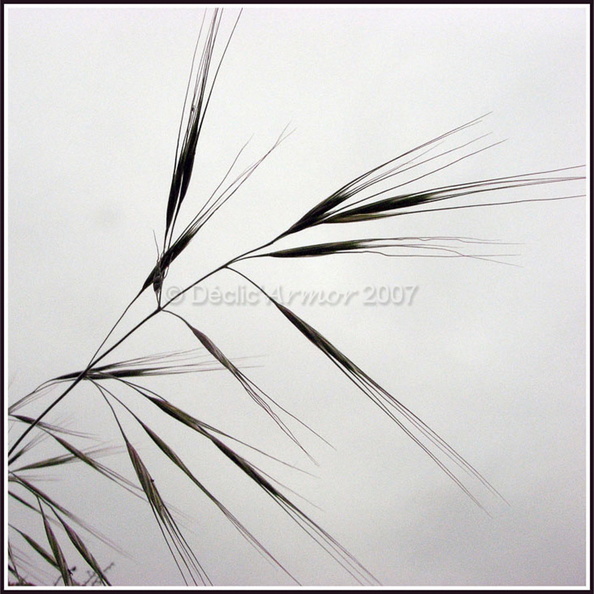 p61_ap.jpg