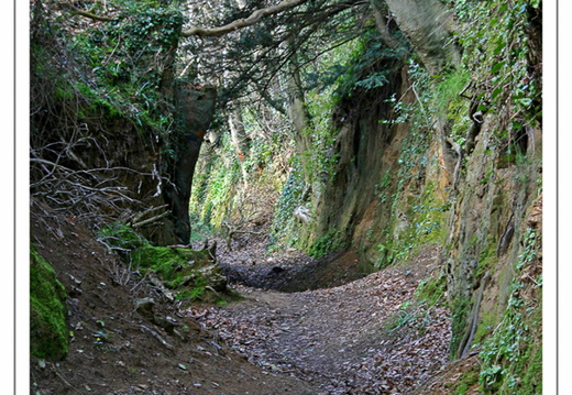 Chemin Creux à Plouaret