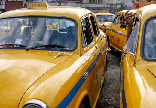 Taxis Ambassador, Kolkata 2015