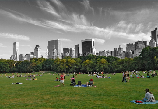 Un dimanche après midi à Central Park