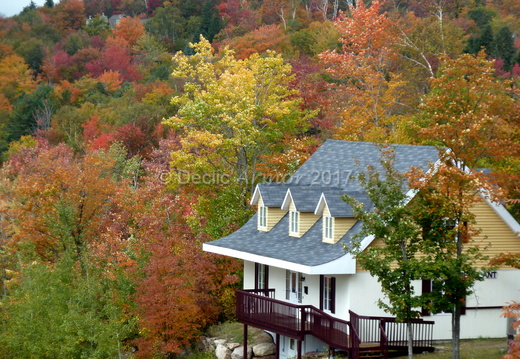 Cabane au Québec