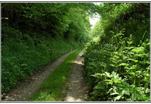 Chemin à plougonver
