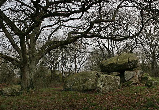 Le dolmen de Lanvellec