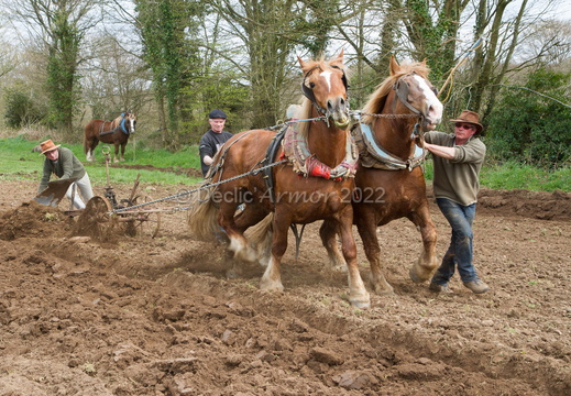 Fête du cheval à Plougras