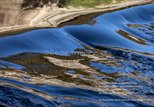  Les Araignées d'eau