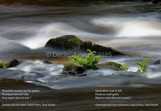  Sentiers de nos rêves