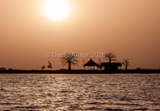 Siné Saloum - Portugal